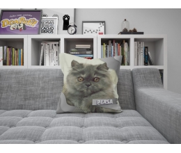 Almofada Gato Persa