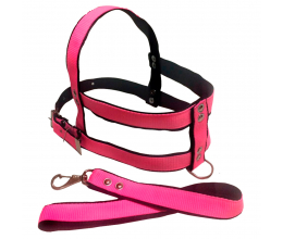 Guia com Peitoral Nylon Duplo