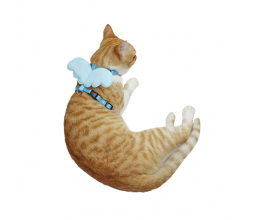 Guia Peitoral para Gatos com Asas