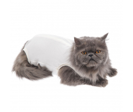Roupa Cirúrgica para Gatos